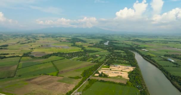 Luchtfoto Van Vallei Met Rivier Landbouwgrond Het Platteland Hinigaran Rivier — Stockvideo