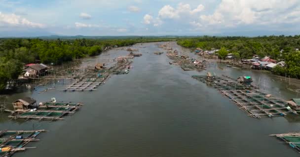Αεροφωτογραφία Ιχθυοτροφείου Κλωβούς Και Δίχτυα Στο Ποτάμι Ψαροχώρι Ποταμός Hinigaran — Αρχείο Βίντεο
