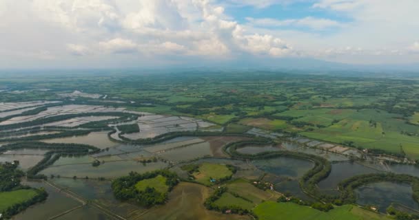 Ovanifrån Landsbygden Med Jordbruksmark Och Risfält Floden Hinigaran Negros Filippinerna — Stockvideo