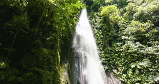Красивый Водопад Зеленом Лесу Водопад Пуланг Тубиг Горных Джунглях Негрос — стоковое видео
