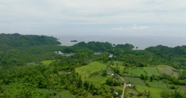 Tropik bölgelerdeki tarım arazilerinin insansız hava aracı. Tarım arazisi ve pirinç tarlaları. Zenciler, Filipinler