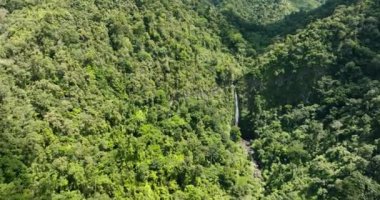 Ormanın içindeki dağlarda güzel bir şelale. Malatan-og Şelalesi. Zenciler, Filipinler.