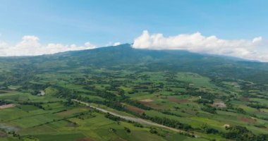 Aerial drone of sugarcane plantations and agricultural land in the countryside. Negros, Philippines
