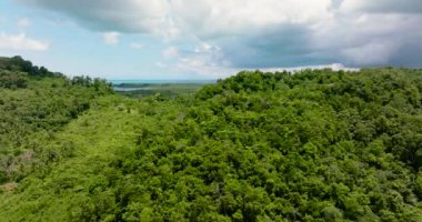 Tropik bir adanın kıyısındaki yağmur ormanları ve ormanlar. Balabac, Palawan. Filipinler.