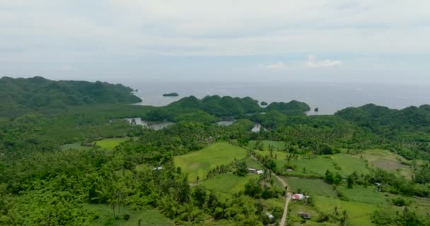 在热带地区的海岸上 空中无人地带的农田 农业用地和稻田 Negros 菲律宾 — 图库视频影像