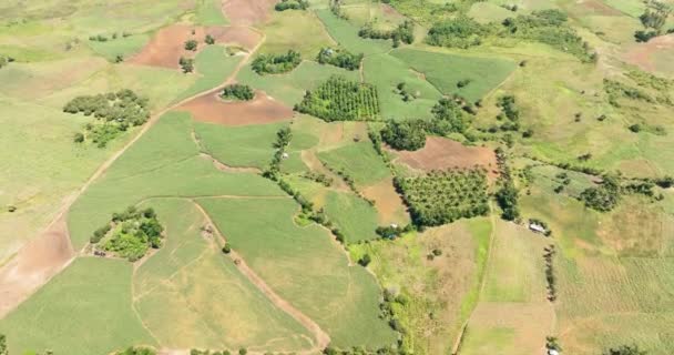 从空中俯瞰甘蔗 可以看到许多种植园和农田 Negros 菲律宾 — 图库视频影像