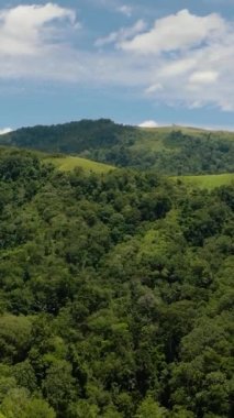 Dağların hava aracı yağmur ormanlarını, ağaçları ve mavi gökyüzünü bulutlarla kapladı. Sumatra, Endonezya.