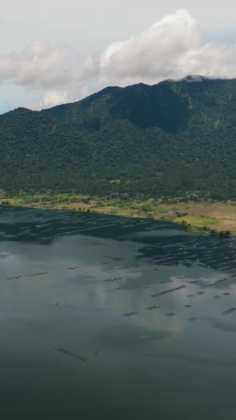 Légi Kilátás Part Maninjau Termőfölddel Egy Faluval Szumátra Indonézia — Stock videók