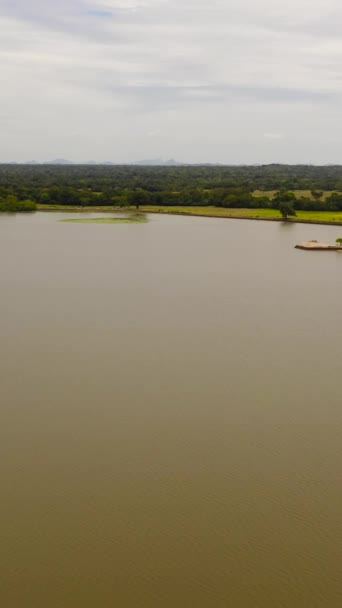 Lake Panama National Park Green Jungle Sri Lanka Arugam Bay — Stock Video