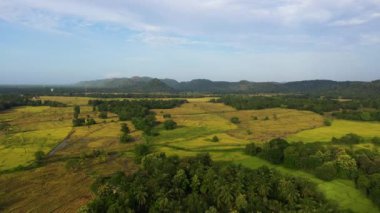 Dağ vadisinde pirinç, sebze ve şeker kamışı yetiştiren tarım arazileri. Sri Lanka.