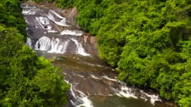Yağmur ormanlarındaki şelale, orman. Dağ ormanında tropik Kirindi Şelalesi. Sri Lanka.