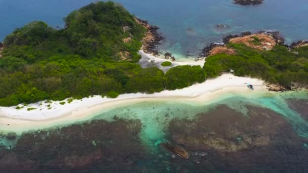 Paisaje Tropical Con Una Hermosa Vista Playa Isla Pigeon Sri — Vídeos de Stock
