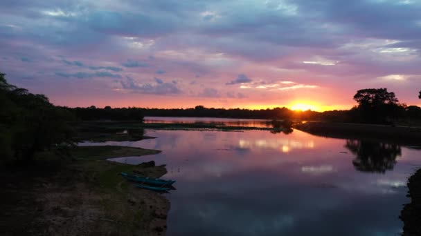 日没の間に熱帯雨林の湖 パナマスリランカのWea湖 アルガム湾 — ストック動画