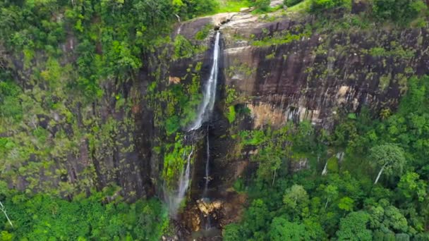 Водопад Зеленом Лесу Водопад Диялума Джунглях Шри Ланка — стоковое видео