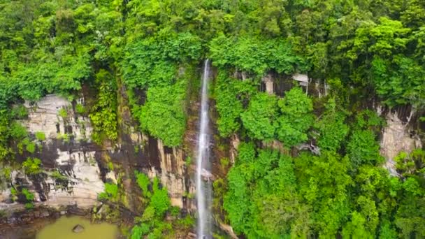 Wodospad Zielonym Lesie Sri Lanka — Wideo stockowe
