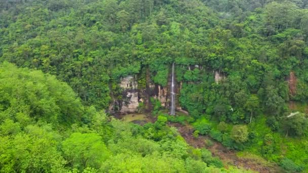 熱帯の山のジャングルの滝 スリランカ — ストック動画