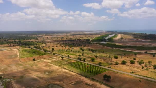 Landwirtschaftliche Flächen Und Reisfelder Auf Dem Land Sri Lanka — Stockvideo