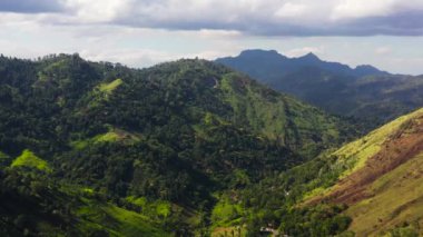 Tropikal ormanları ve mavi gökyüzü ve bulutların altındaki çay tarlaları olan dağ yamaçlarının havadan görünüşü. Sri Lanka.