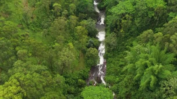 Вид Повітря Річку Тропічних Тропічних Лісах Шрі Ланка — стокове відео