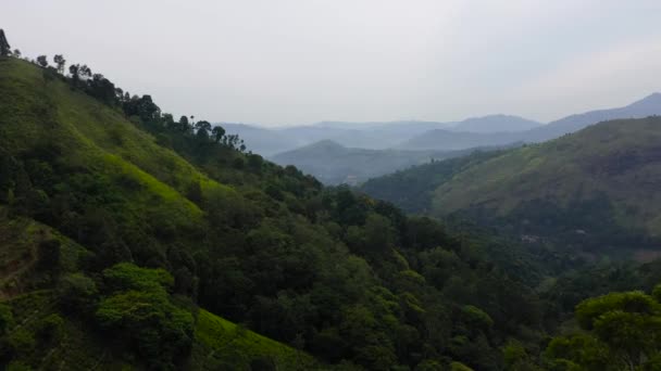 Aerial Drone Mountain Slopes Rainforest Mountain Valley Farmland Sri Lanka — Wideo stockowe