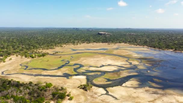 Vista Aérea Lagos Zonas Húmidas Entre Selva Contra Pano Fundo — Vídeo de Stock