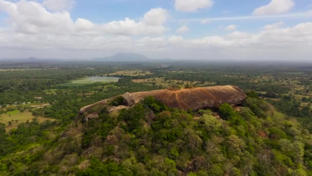 Luftaufnahme Des Pidurangala Felsens Der Nähe Von Dambulla Sri Lanka — Stockvideo