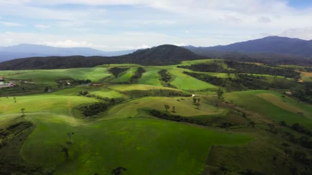 山岳地帯の丘の間に緑の芝生の牧草地の空中ビュー Ambewea ヌワラ エリヤ スリランカ — ストック動画