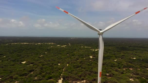 Group Windmills Renewable Electric Energy Production Mannar Sri Lanka Wind — Stock Video