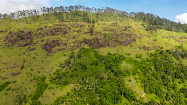 Pemandangan Udara Pegunungan Dengan Hutan Hujan Dan Awan Sri Lanka — Stok Video
