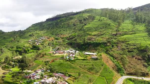 Çay Tarlalarının Arasındaki Dağ Yamaçlarındaki Çiftçi Köyü Nuwara Eliya Sri — Stok video