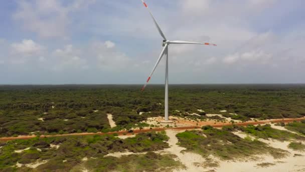 Top View Wind Turbines Coastline Wind Power Plant Mannar Sri — Stock Video