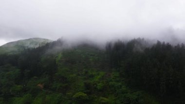 Aerial view of Green tea plantations in a mountainous province in Sri Lanka. Tea estate landscape.