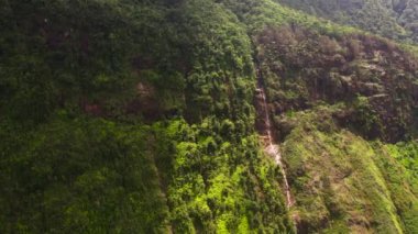Şelalenin insansız hava aracı ormanın yüksek dağlarında. Maskeliya, Sri Lanka.