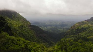 Sri Lanka 'nın dağlık bölgesinde yağmur ormanları ve ormanları olan dağlar.