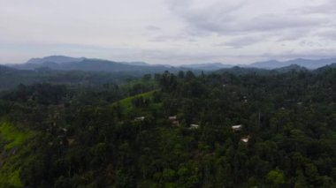 Mountain landscape: mountains with green forests and agricultural land with farm plantations. Sri Lanka.