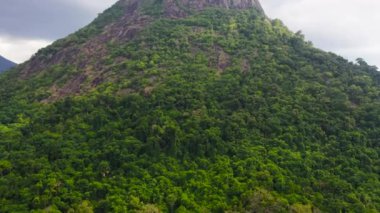 Mountain peak covered with forest from above. Mountains covered rainforest, trees. Sri Lanka.