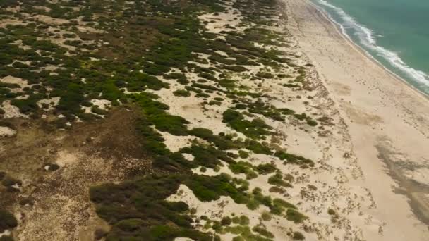 Güzel Kumlu Sahili Mavi Denizi Olan Tropik Bir Manzara Mannar — Stok video