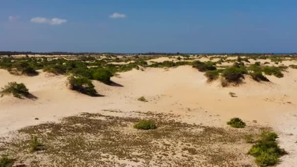 Desert Area Sand Hills Dunes Next Ocean Manalkaadu Sand Hills — Stock Video