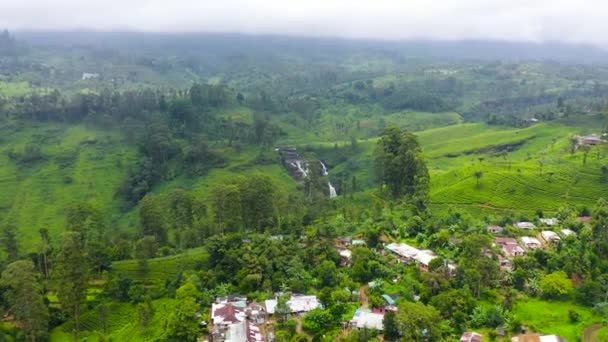 山の谷と茶のプランテーションで滝 セントクレア滝 スリランカ — ストック動画