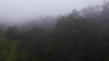 Yağmur ormanlarının en üst manzarası sisle kaplı ve kötü havada bulutlarla kaplı. Mistik manzara. Sri Lanka.