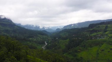 Tarım arazisi ve yeşil ormanlı dağlar. Sri Lanka 'daki çay tarlaları.