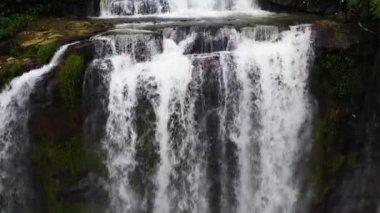 Yeşil ormandaki güzel şelalenin manzarası. Vernon Dağı Şelalesi, Sri Lanka.