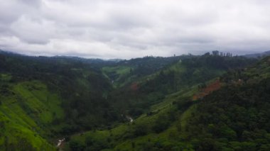 Çay tarlaları ve tarım arazileri olan dağ vadisinin havadan görünüşü.