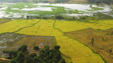 Aerial view of Tropical landscape with agricultural lands and rice fields. Sri Lanka.