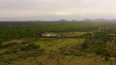 Dağların arka planında tarım arazileri ve yağmur ormanları. Sri Lanka.