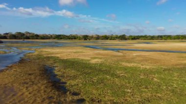 Wetlands in the Kumana National Park, which is home to wild animals and birds. Sri Lanka.
