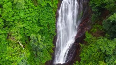 Ormandaki şelale. Yağmur ormanlarındaki Mohini Şelaleleri. Sri Pada, Sri Lanka.