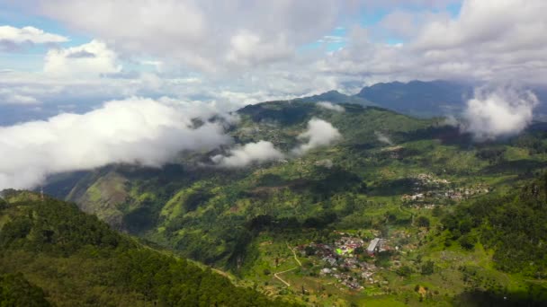 Village Agriculteurs Parmi Les Plantations Thé Dans Les Montagnes Dambatenne — Video