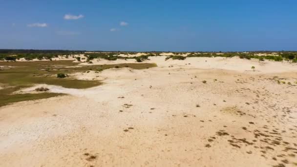 Paesaggio Desertico Con Vegetazione Cespugli Manalkaadu Sand Hills Sri Lanka — Video Stock