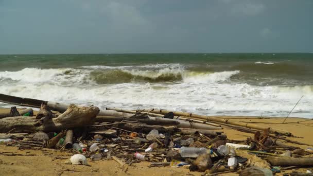 Odrzucone Plastikowe Zanieczyszczenia Śmieci Burzy Morskiej Odpady Środowiska Naturalnego Negombo — Wideo stockowe
